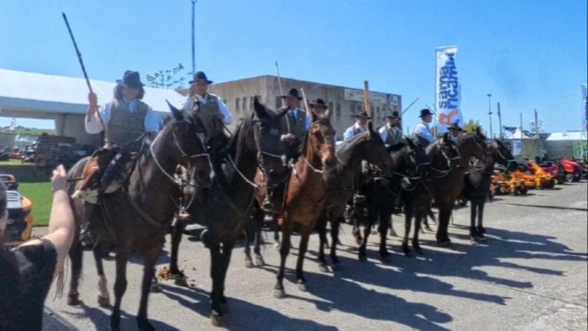 Mostra Agricola Campoverde, si ritorna in sella da questo venerdì 1° Maggio! - 