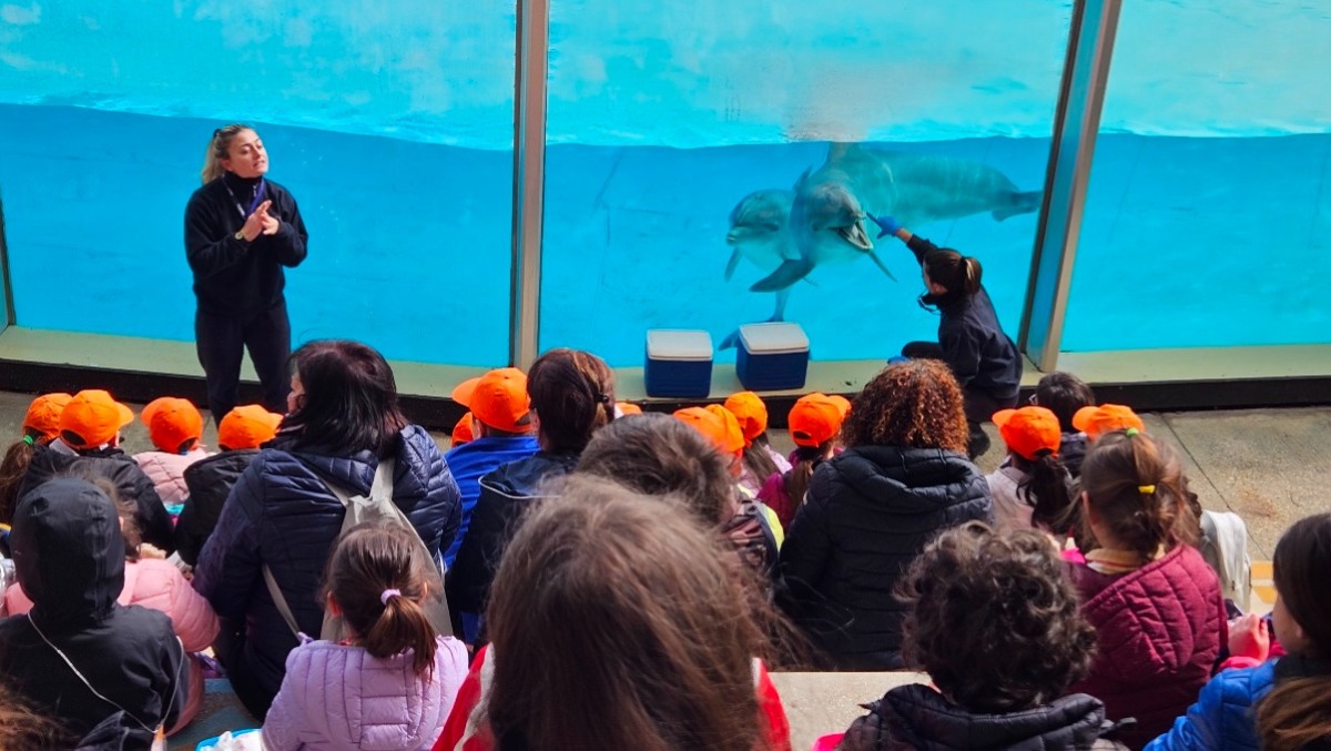 In “gita gratis” a Zoomarine per riconciliarsi con la natura!  - 