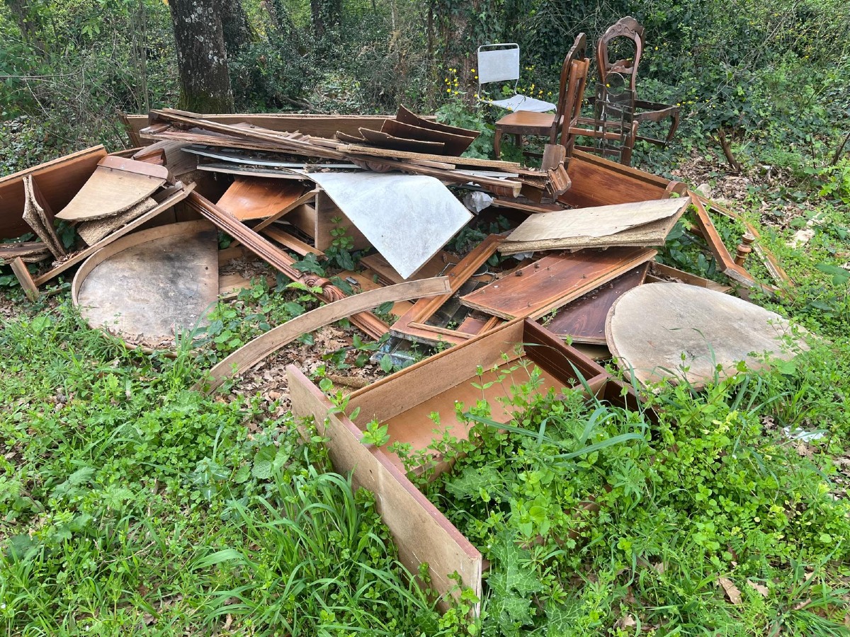 Cisterna - rifiuti abbandonati nel bosco Filetto
