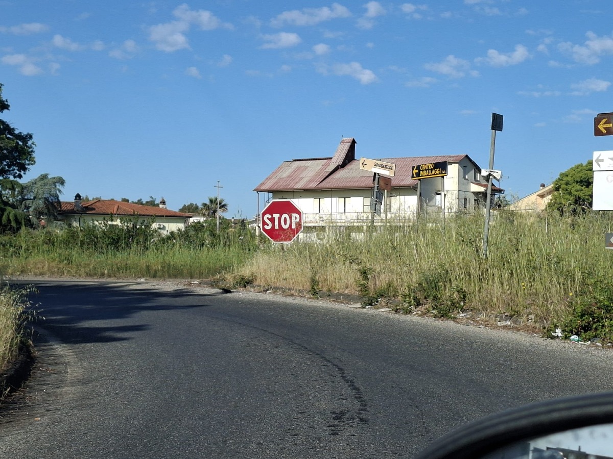 Selciatella Aprilia - rifiuti ed erba alta