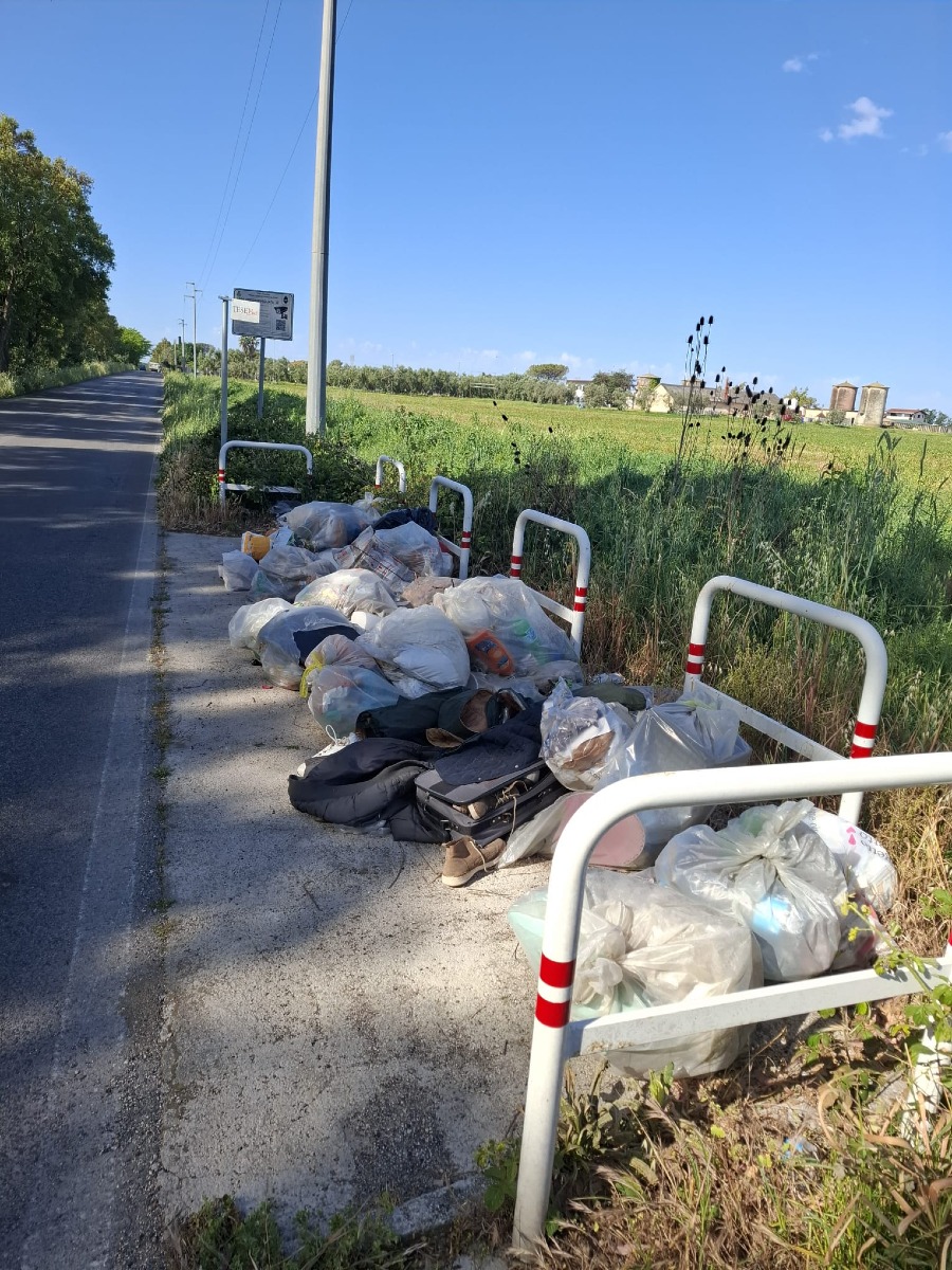 Selciatella Aprilia - rifiuti ed erba alta