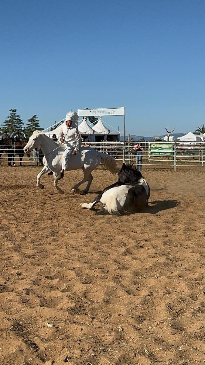 Mostra Agricola Campoverde 2026 - secondo weekend