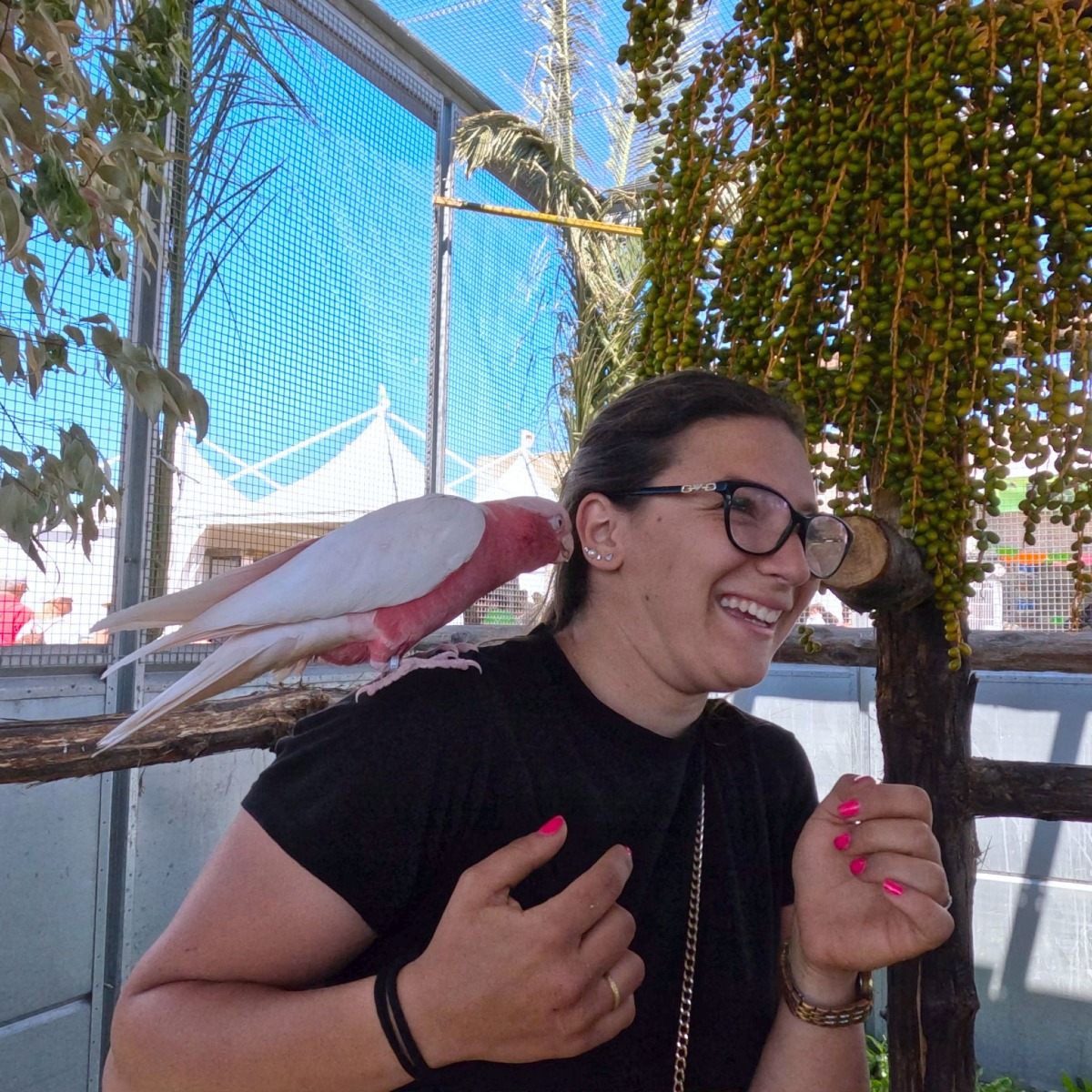 Mostra Agricola Campoverde 2026 - secondo weekend