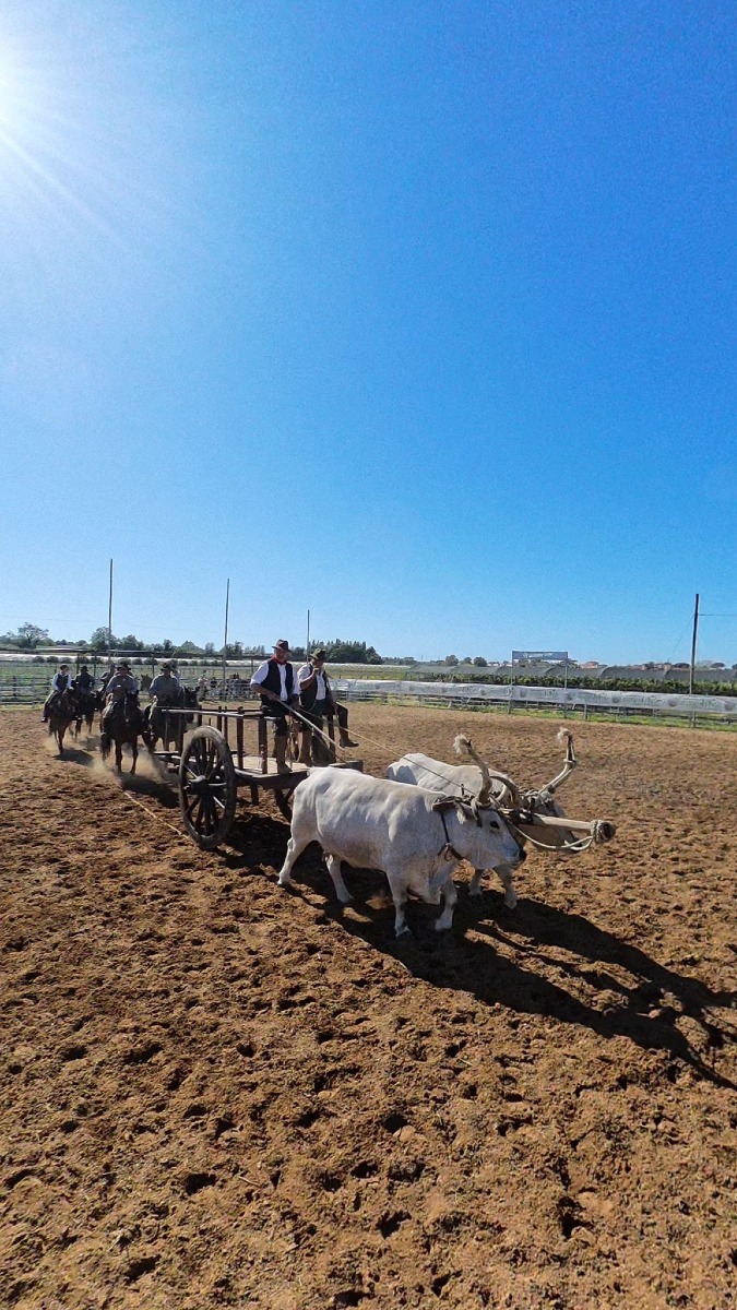 Mostra Agricola Campoverde 2026 - secondo weekend