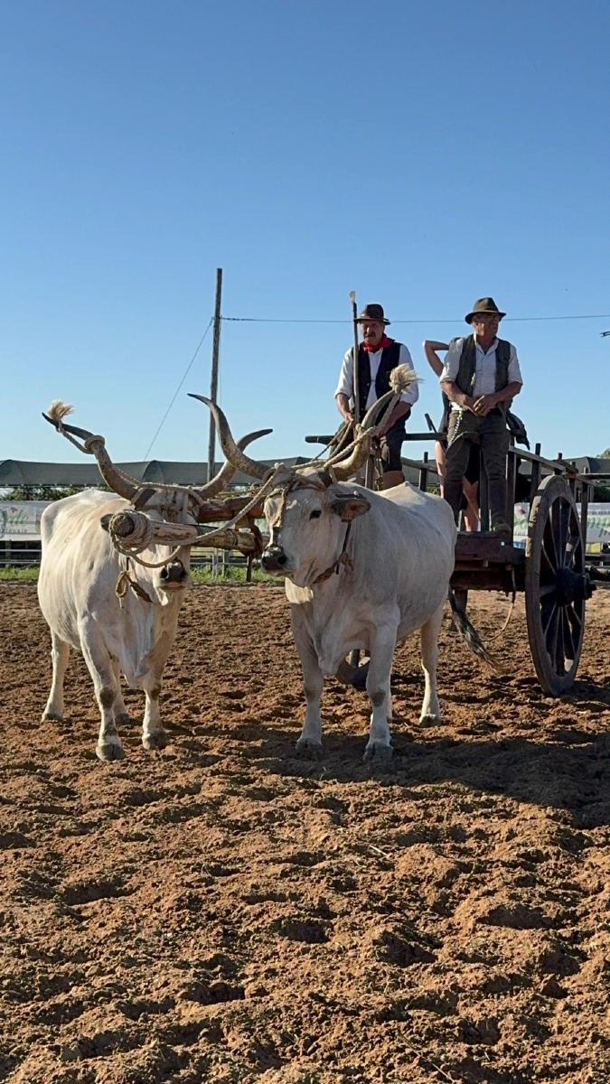 Mostra Agricola Campoverde 2026 - secondo weekend