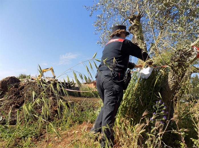 Aprilia, abusi edilizi in un'area sottoposta a vincoli.  - 