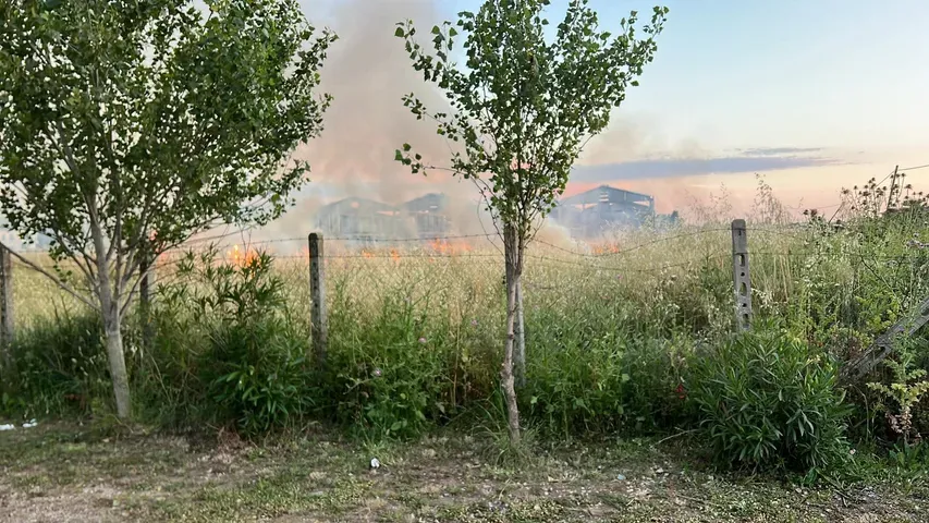 Aprilia - Incendi boschivi, scatta l'ordinanza: TUTTI I DIVIETI  - 