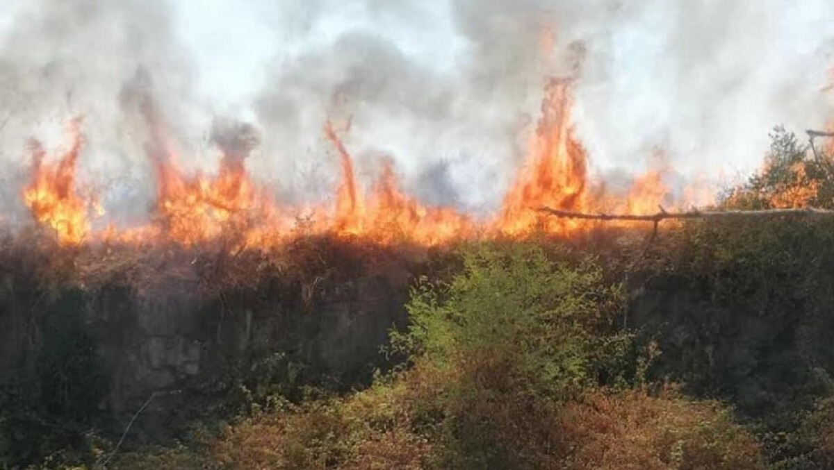 CORI - Brucia le sterpaglie per pulire il terreno, danneggia altre tre proprietà. - 