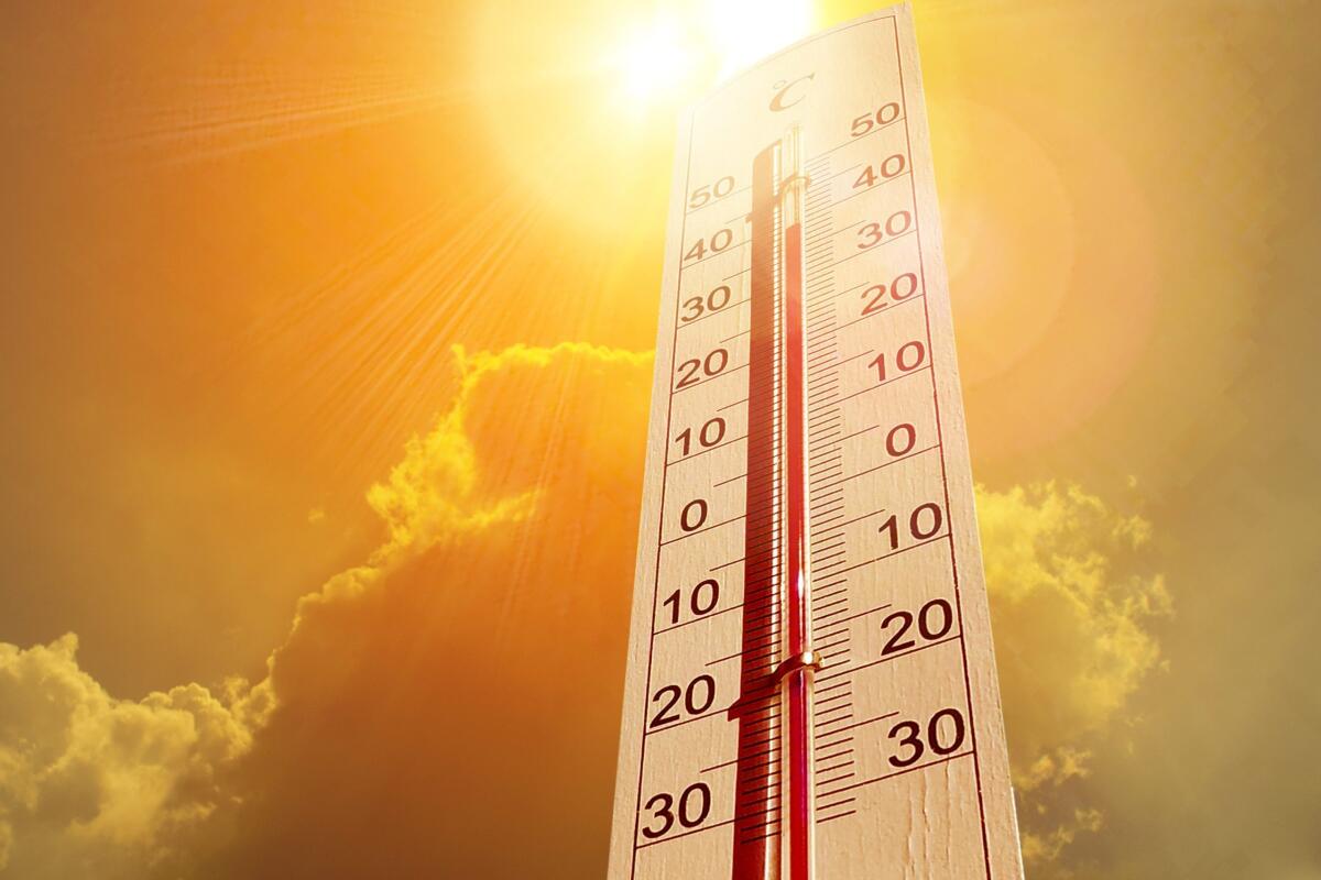 Piano anti caldo 2026: firmata l'ordinanza della Regione Lazio. - 