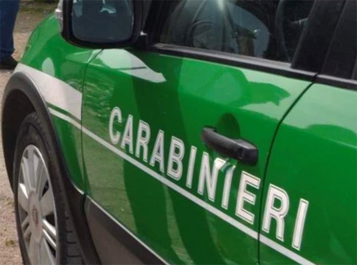 Carabinieri_forestali_Auto