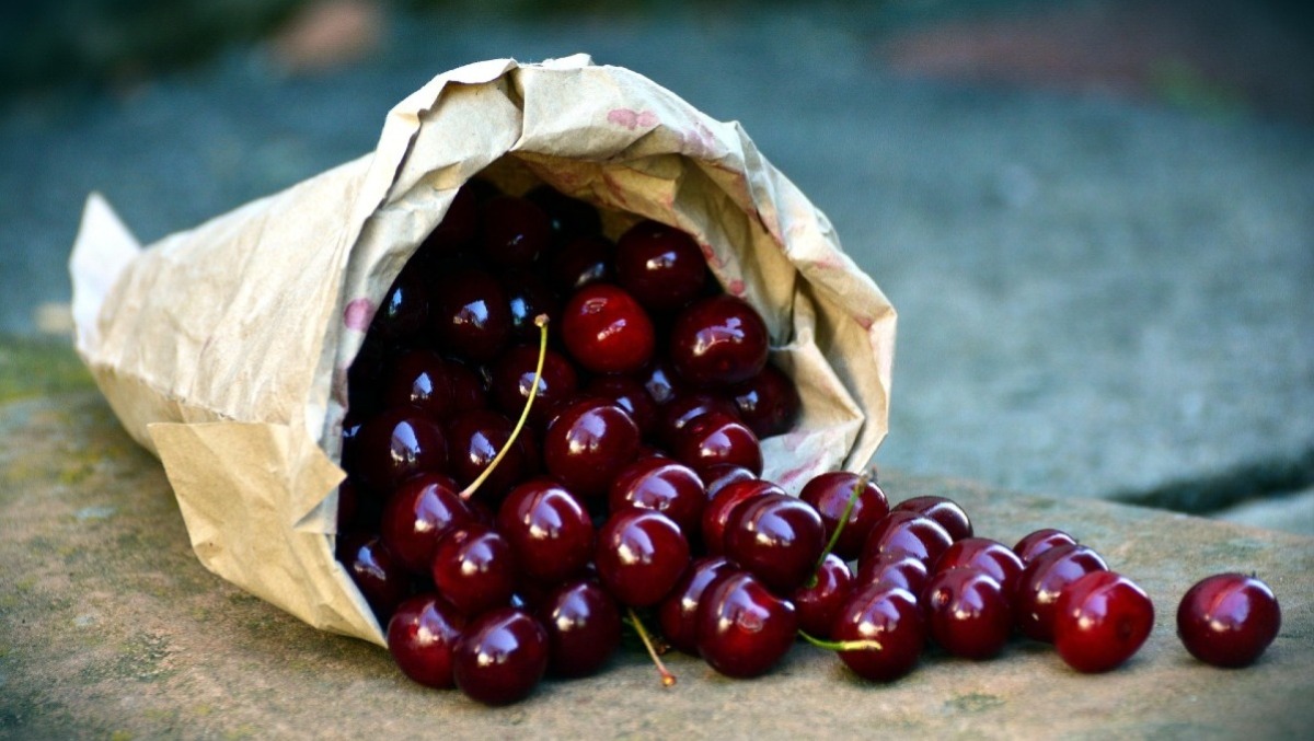 Maenza si tinge di rosso: arriva la Sagra delle Ciliegie. - 