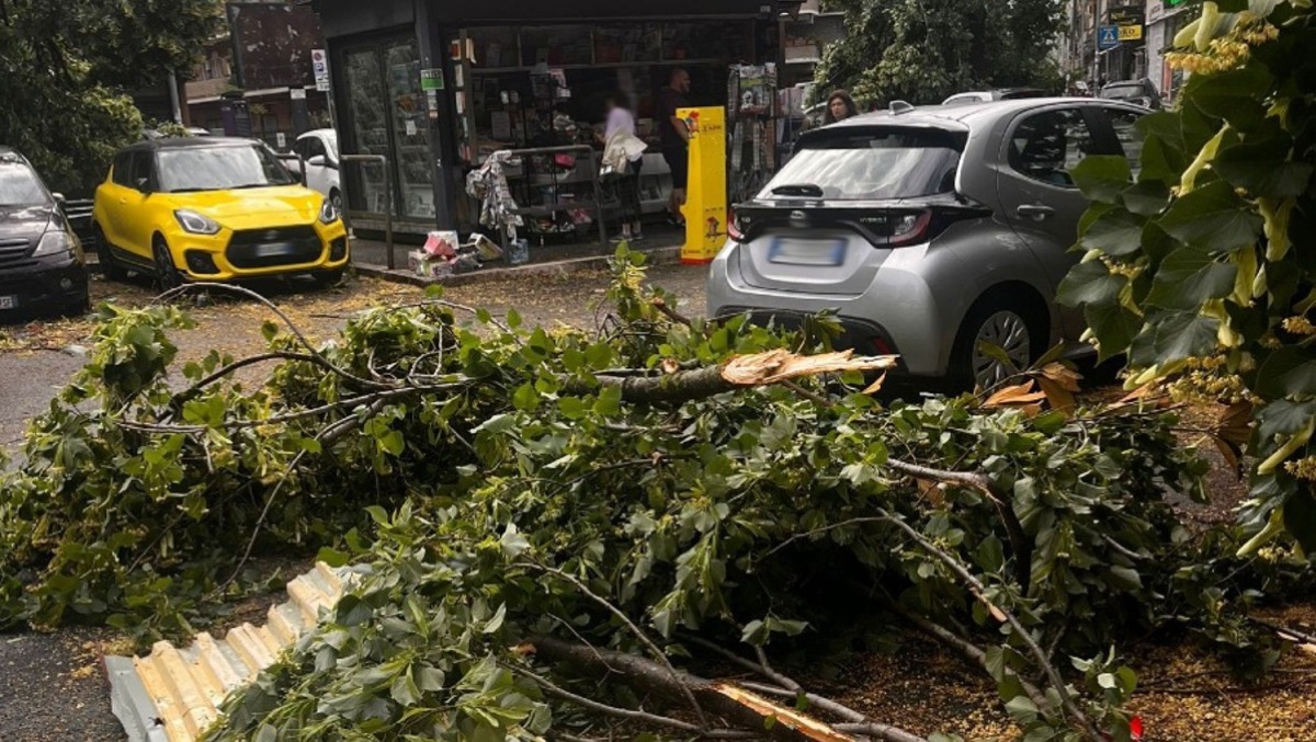 Tromba d’aria a Roma, alberi caduti, allagamenti e forti disagi al traffico. - 