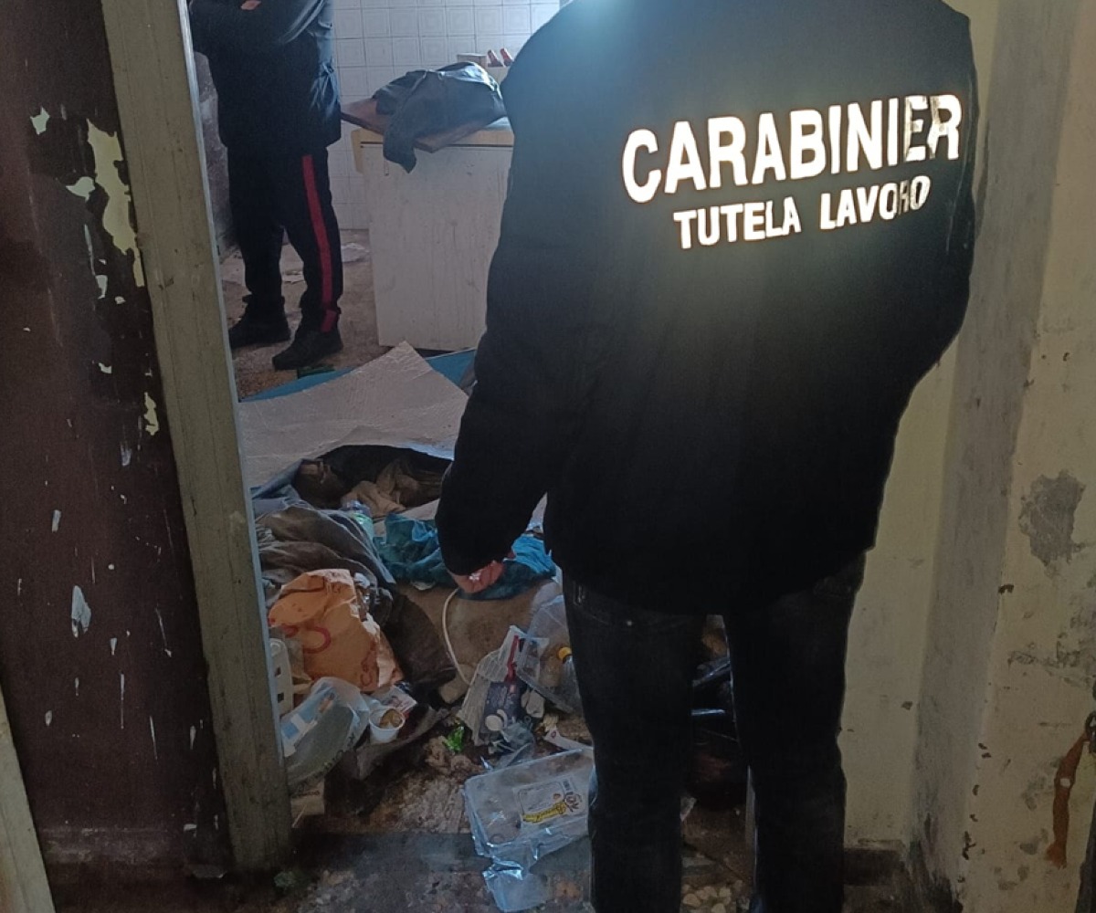 Caporalato, gravi irregolarità in 18 aziende su 35. Denunciate 17 persone - 