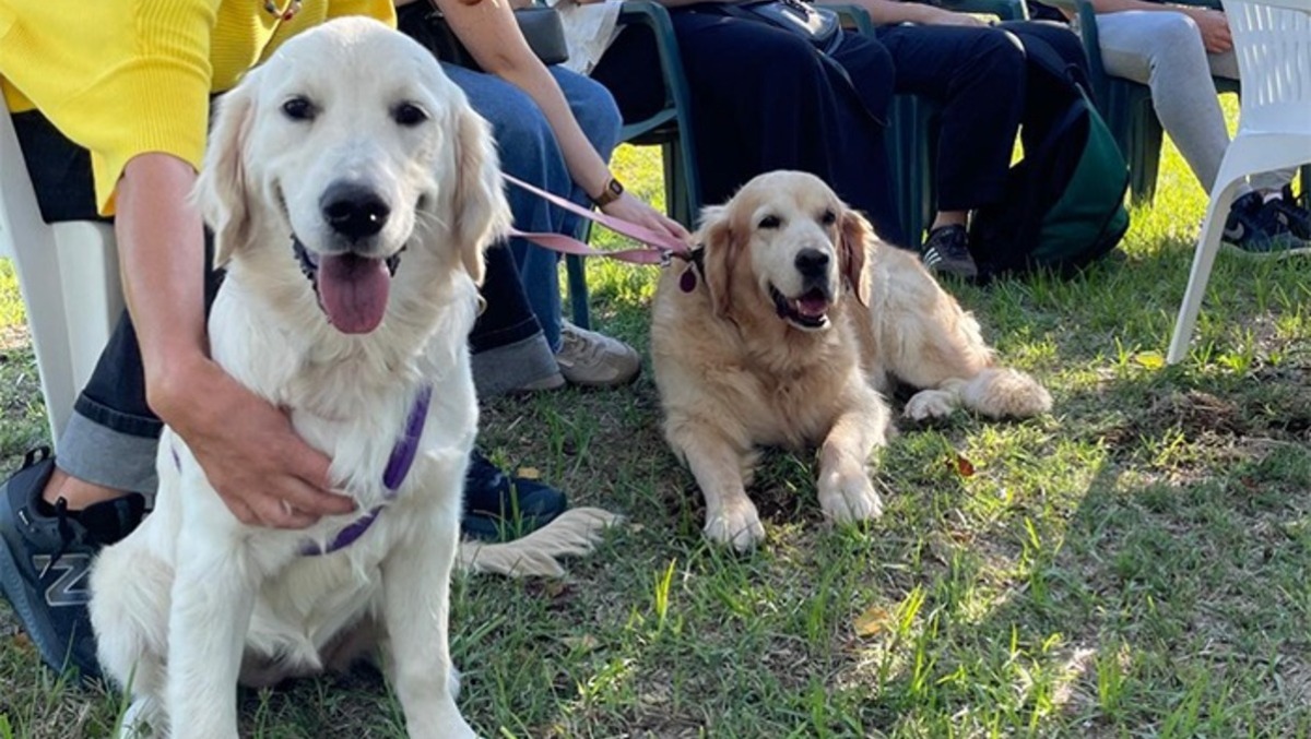 Aprilia, torna il “Concorso Simpatia” dell’associazione animalista “Le carezze di Riccardo”. - 