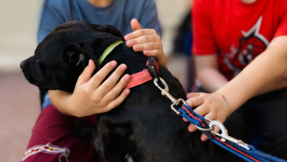 Aprilia, concluso il progetto “Pet Therapy” che ha coinvolto per 2 anni gli alunni dell’Istituto Pascoli. - 