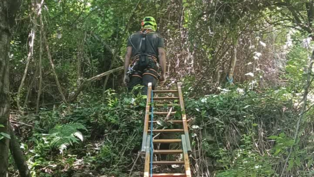 Identificato l'uomo rinvenuto senza vita a Nemi, in via del Tempio di Diana. - 