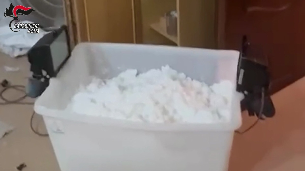 Traffico internazionale di cocaina, smantellata la banda del "Presidente" - 