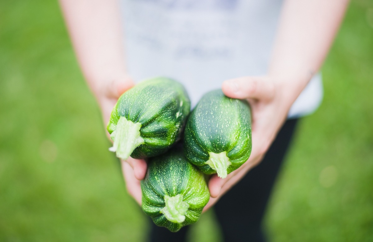 Zucchino dell'Agro pontino, ok al marchio dell'Unione Europea - 