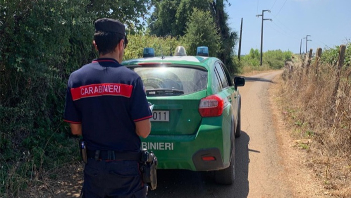 Potature mal eseguite su esemplari di sughera: sanzioni a Cori per la ditta esecutrice dei lavori. - 