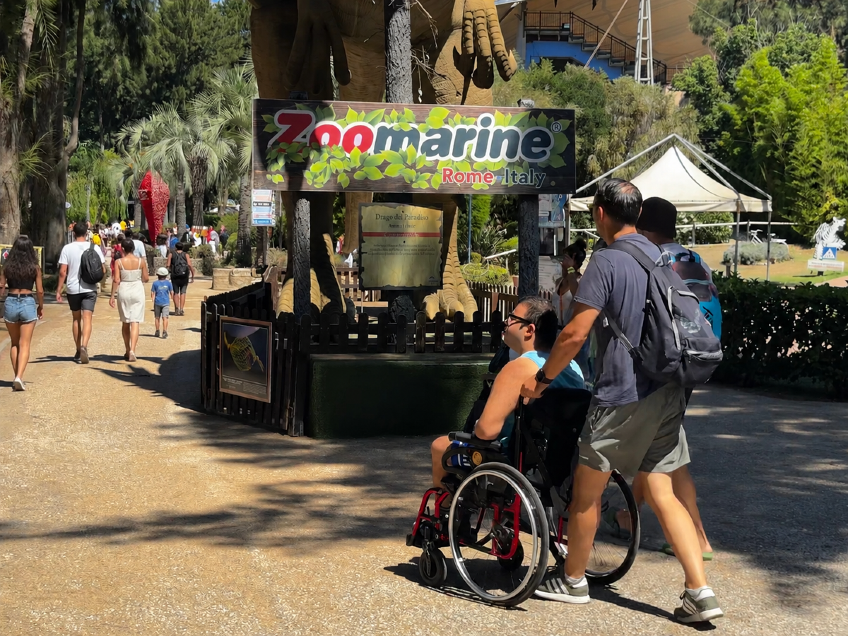 Zoomarine, "Diversamente divertente": raccolti 8mila euro - 