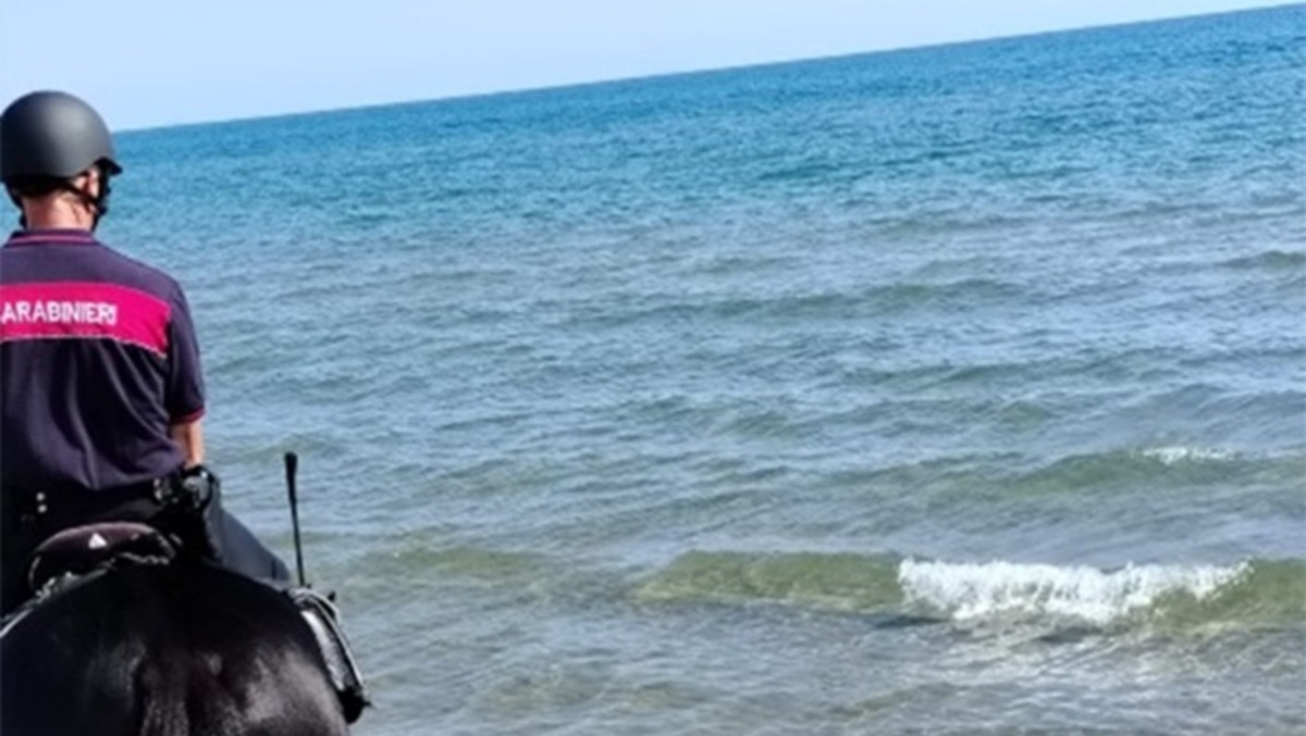 Carabinieri a cavallo sul litorale di Sabaudia: rinvenuta pelle di bufalo sulla battigia.  - 