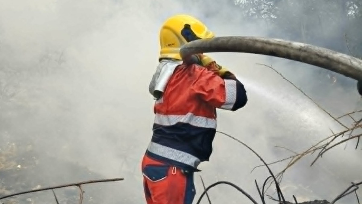 Vasto incendio in zona La Cogna, ad Aprilia. Soccorritori al lavoro. Le immagini. - 