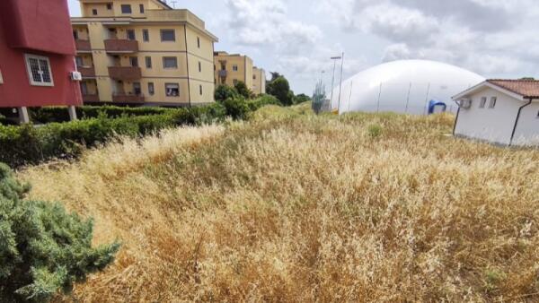 Aprilia, via la giungla di sterpaglie in via Tiberio, vicino al nuovo impianto sportivo.