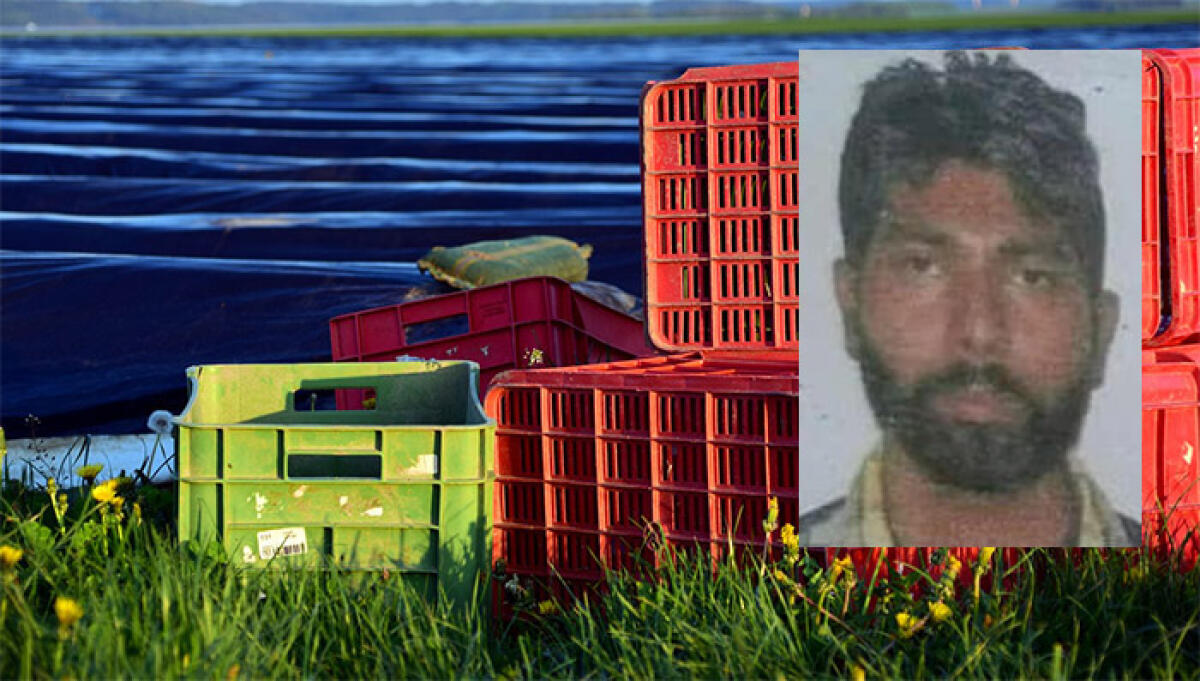 Processo per la morte di Satnam Singh: chiesta condanna a 22 anni per Antonello Lovato. - 