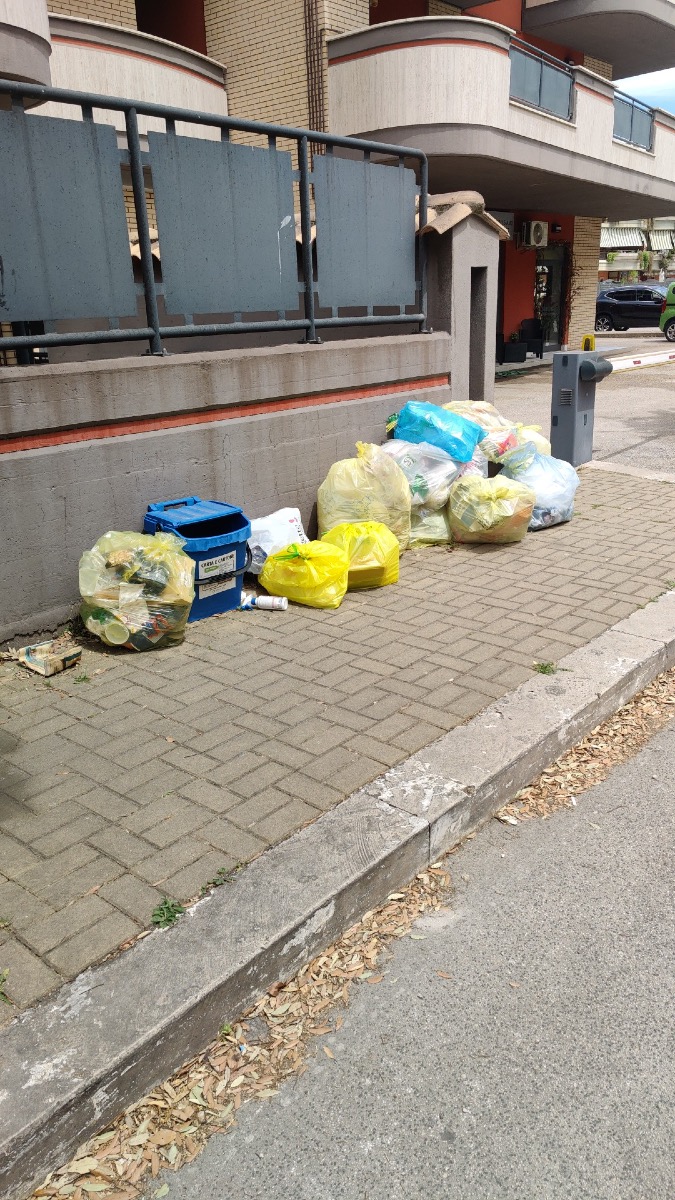 Rifiuti in via Bulgaria 