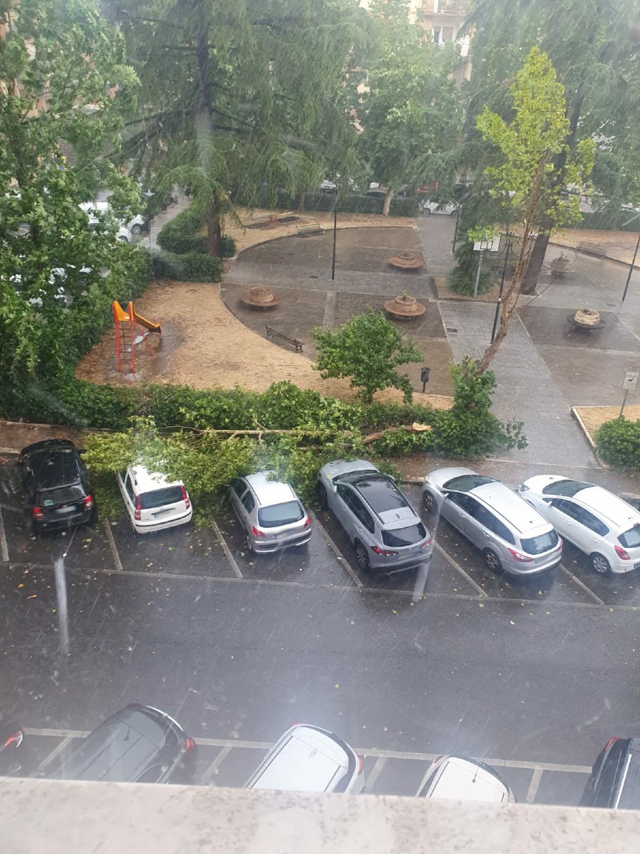 Aprilia_Piazza Don Sturzo_Albero sulle auto