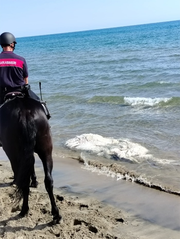 Sabaudia_Carabinieri a cavallo