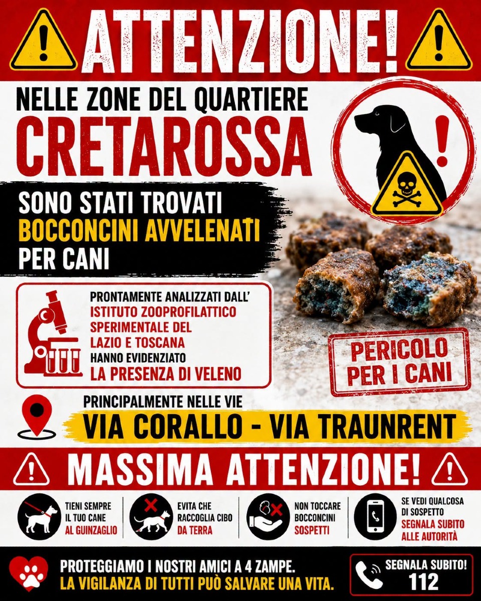 Polpette avvelenate a Nettuno