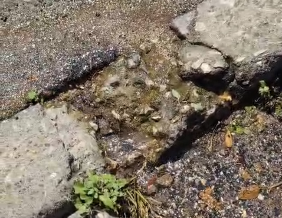 perdita idrica in via dei Larici, ad Aprilia 