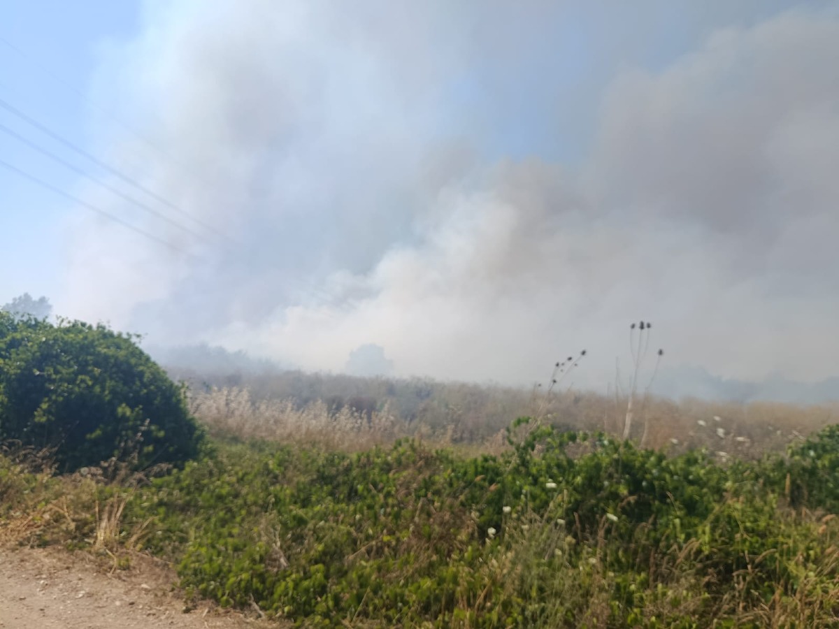 Aprilia - Incendio in corso, all'opera i Vigili del fuoco, la protezione civile Alfa e i volontari della  Associazione Nazionale Carabinieri - 