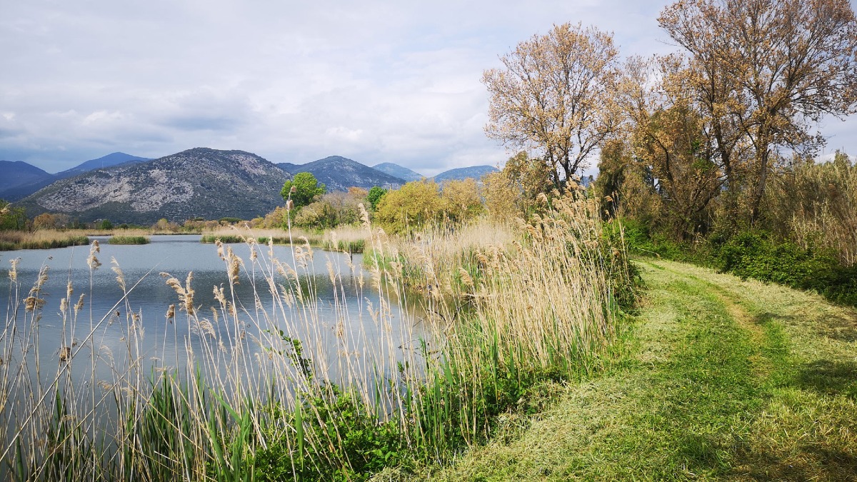 Al Lago di Fondi un evento dedicato al Pesce Calamita. - Foto di Giancarlo Pagliaroli