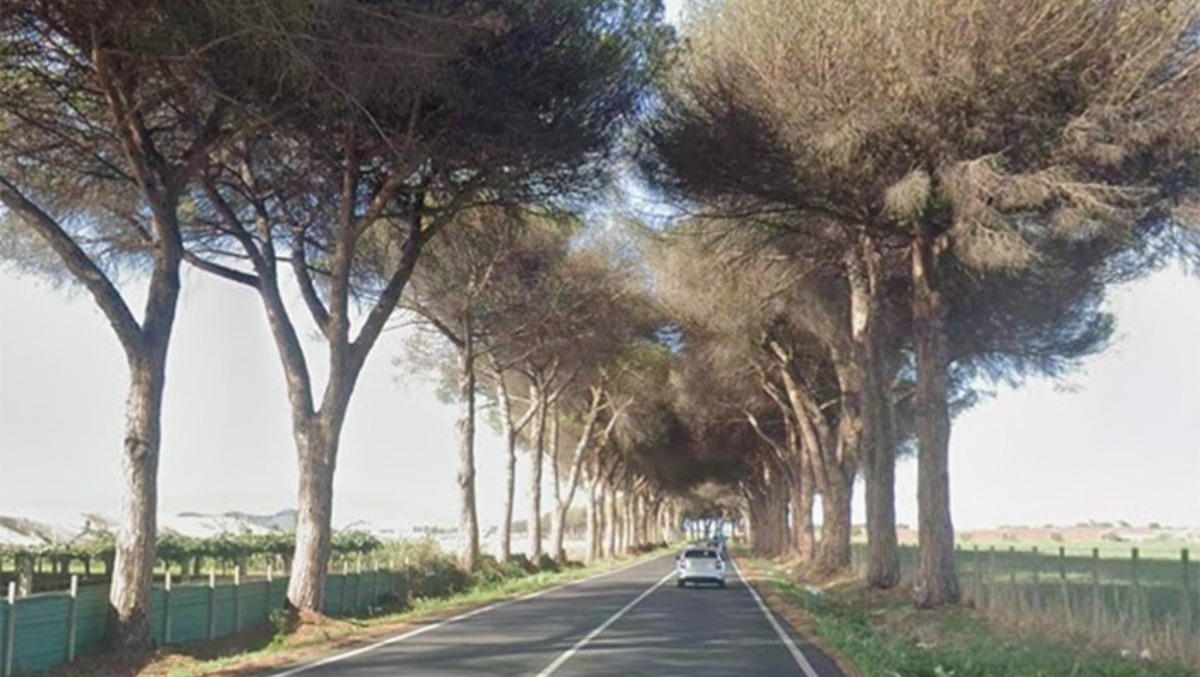 Fondi in arrivo dalla Regione per la provinciale Velletri-Nettuno. - 