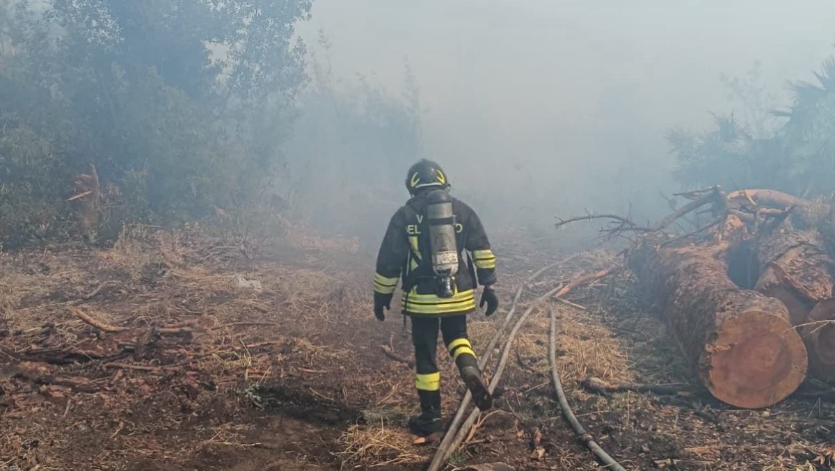 Incendi a Roma e in provincia. Interventi anche ad Anzio ed Ardea. - 