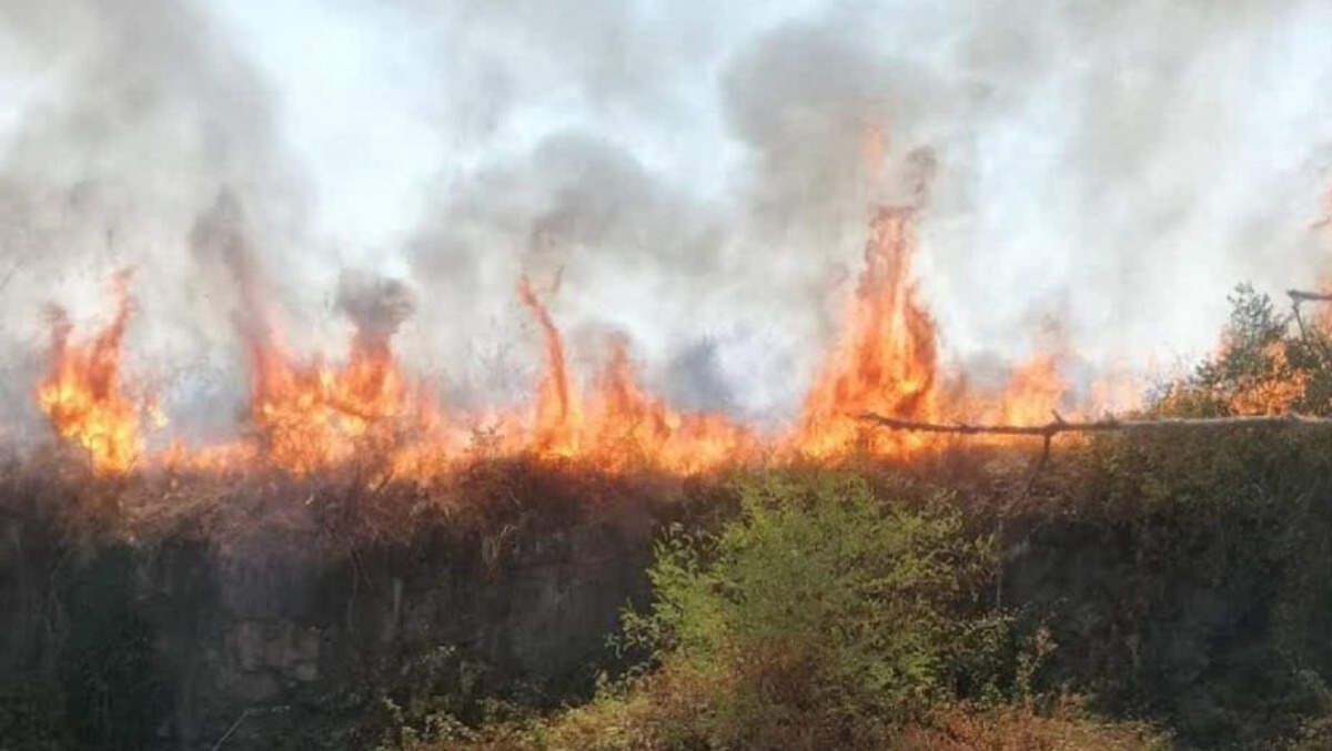 Emergenza afa e roghi nelle province di Roma e Latina: “bollino rosso” per tutto il fine settimana.  - 