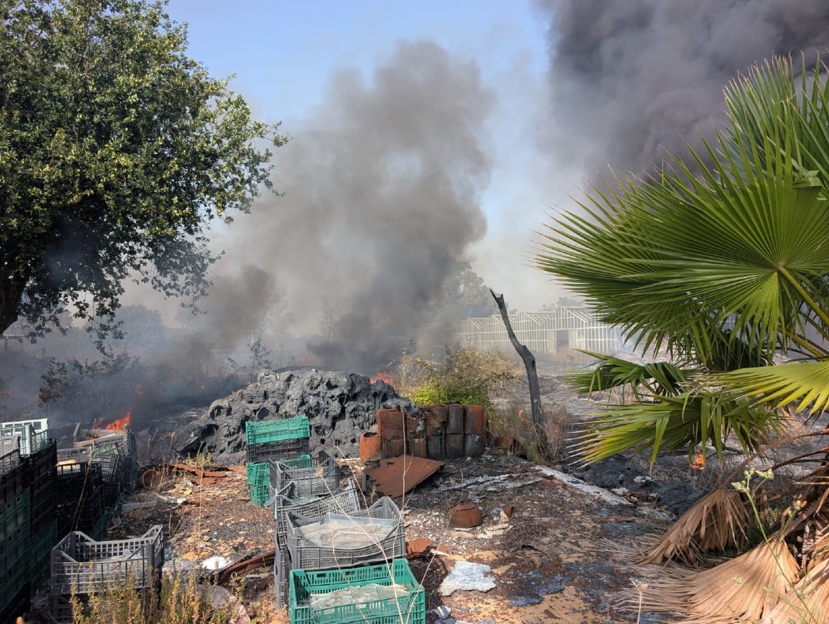 Campagna antincendio boschivo nel Lazio: dal 15 giugno già 569 roghi  - 