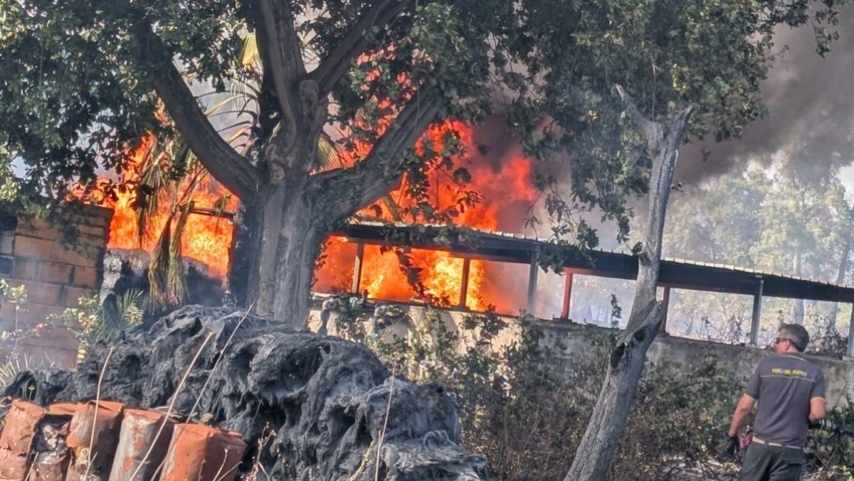 Aprilia, fiamme senza tregua in via Torre del Padiglione: il rogo riparte con più violenza. - 