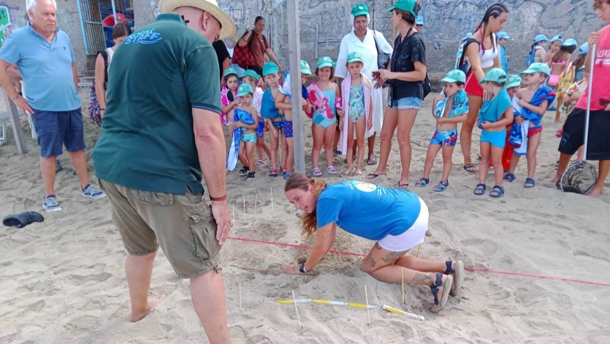 Sorpresa sulla spiaggia di Anzio: le Caretta caretta tornano a nidificare. - 