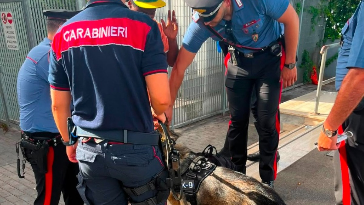 Controlli a Lavinio: stangata da 13mila euro tra lavoro nero, violazioni al codice della strada e droga. - 