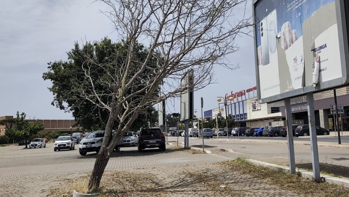 Aprilia - Parcheggio Conforama, degrado assoluto: "Concessione del Comune scaduta" - 