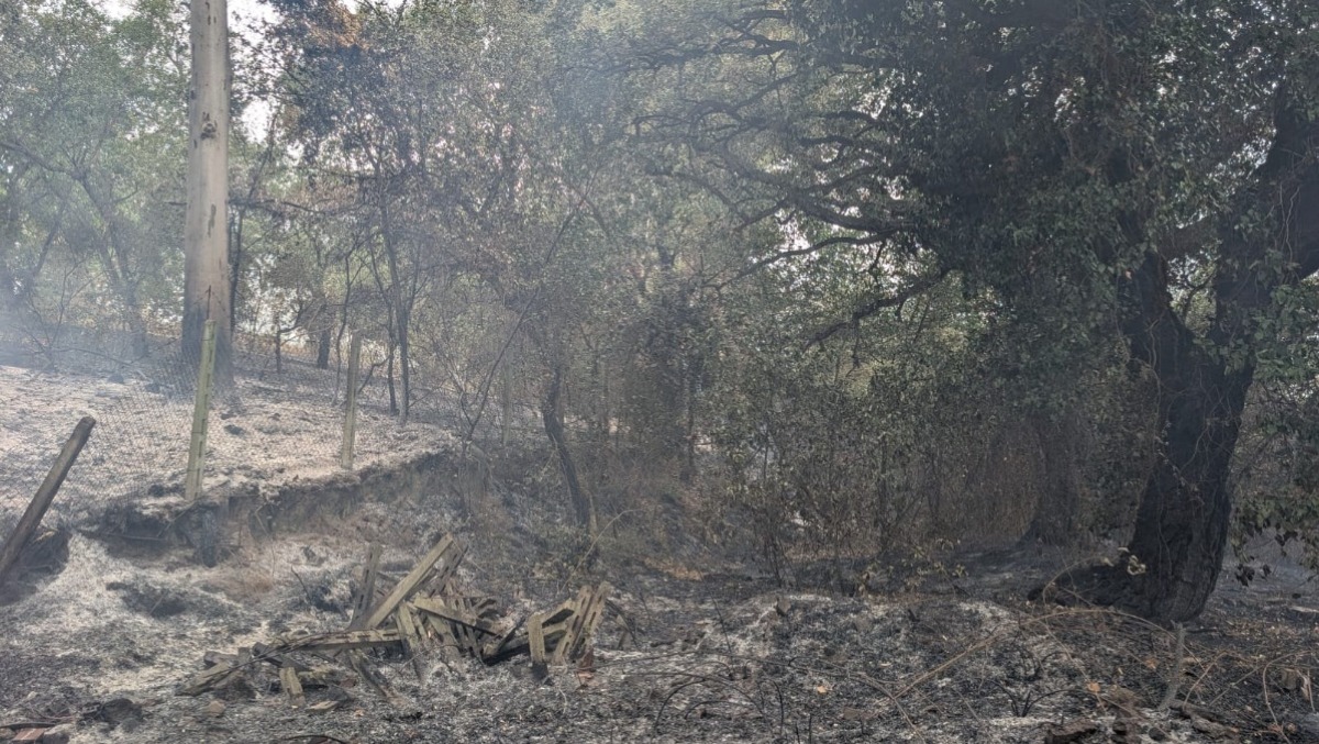 Vasto incendio a Castel Romano, vicino allo stabilimento Bridgestone. - 