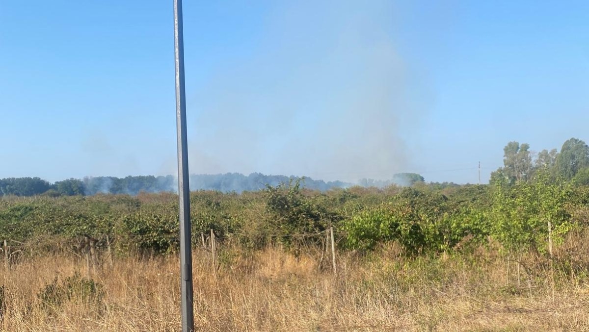 Aprilia - Incendio a Selciatella, ripartono i focolai: "Ripulite i lotti incolti" - 