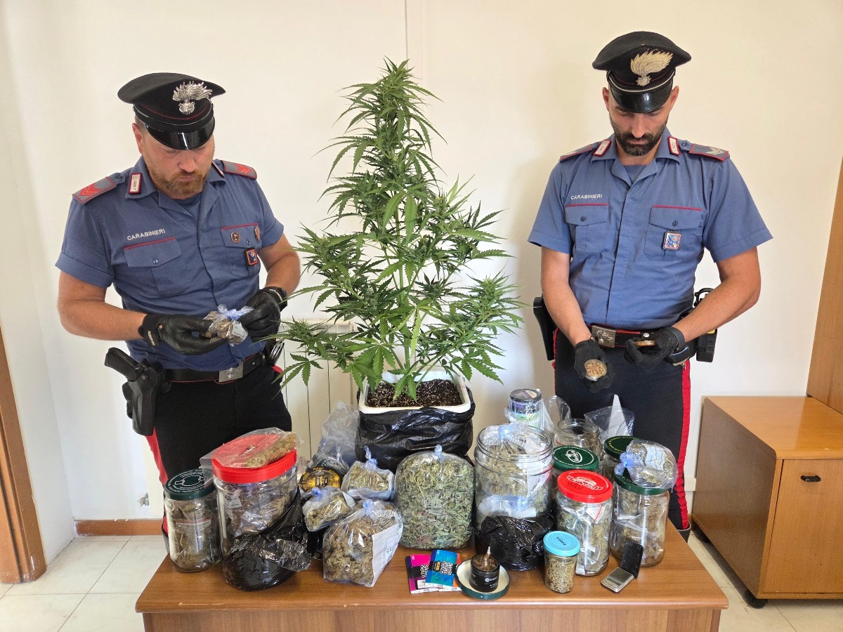 Nettuno - Quasi due chili di marijuana in casa, 48enne in arresto - 