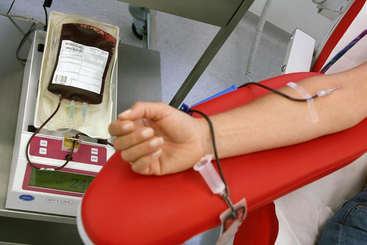 Nettuno, dona il sangue e fai un controllo gratuito! - 