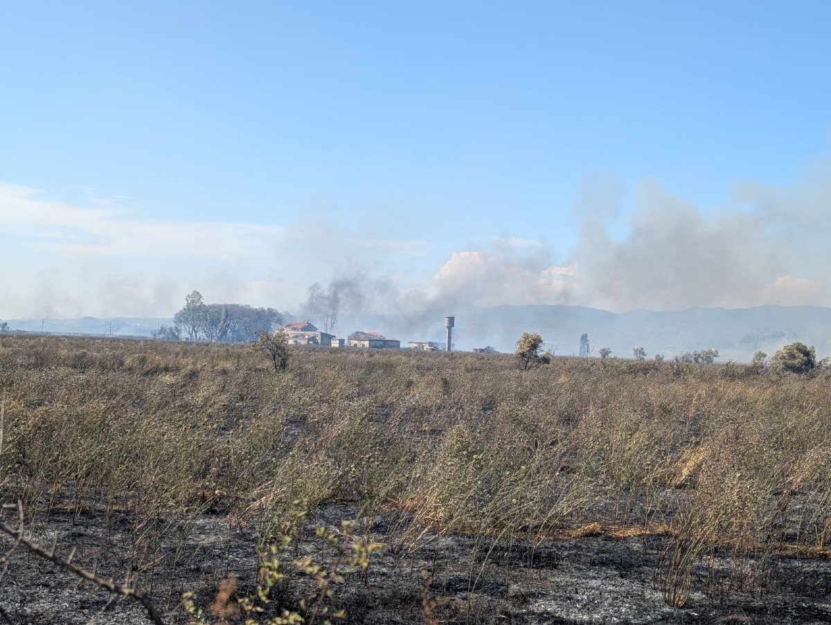 Incendio Carano 1 luglio 2026