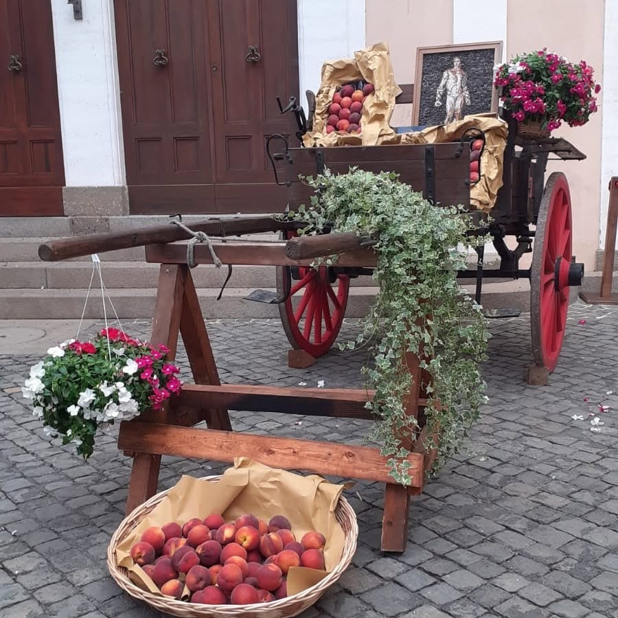 Sagra delle Pesche Castel Gandolfo 2026