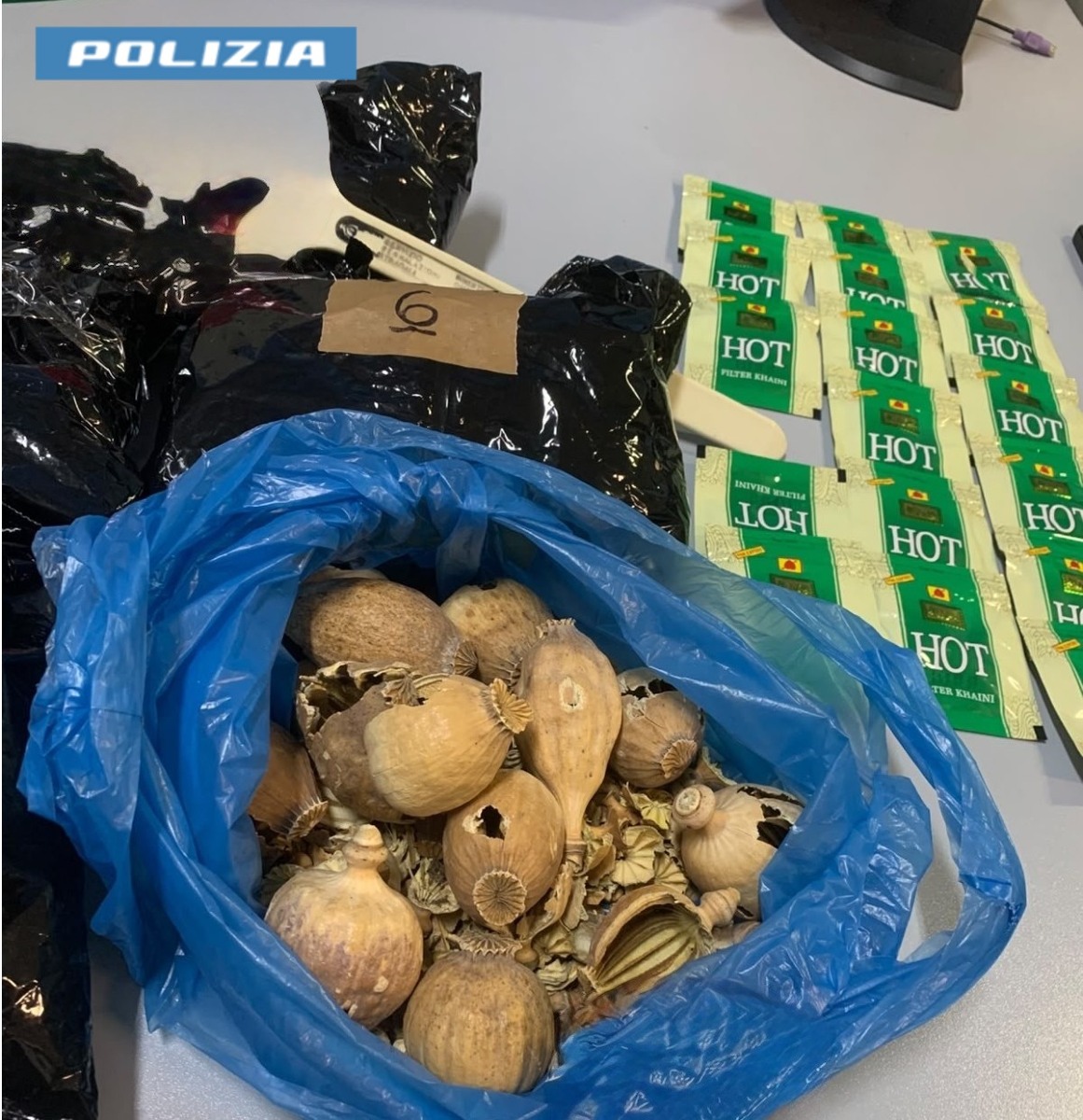 Bulbi da oppio - Polizia Latina